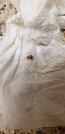 贝斯特韦斯特橙县机场北酒店主图