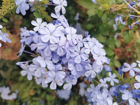 Gr 249 Senda Litoral-Rincon de la Victoria必去景点