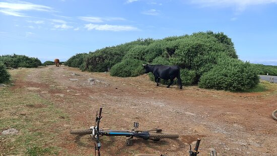 E-Bike Madeira-沙尔必去景点