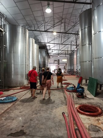 Bodega Las Virtudes景点图片