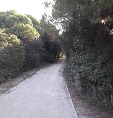 Bibione - Ciclabile del Tagliamento-Bibione必去景点