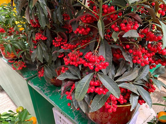 机利臣街市场-香港必去景点