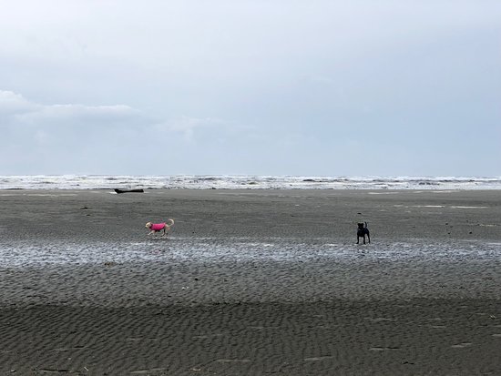 Hi-Tide Ocean Beach Resort-官方