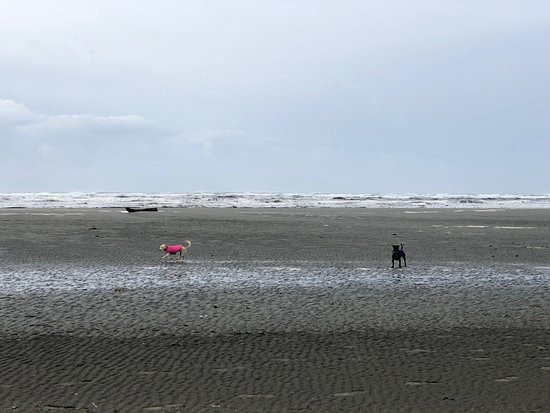 Hi-Tide Ocean Beach Resort主图