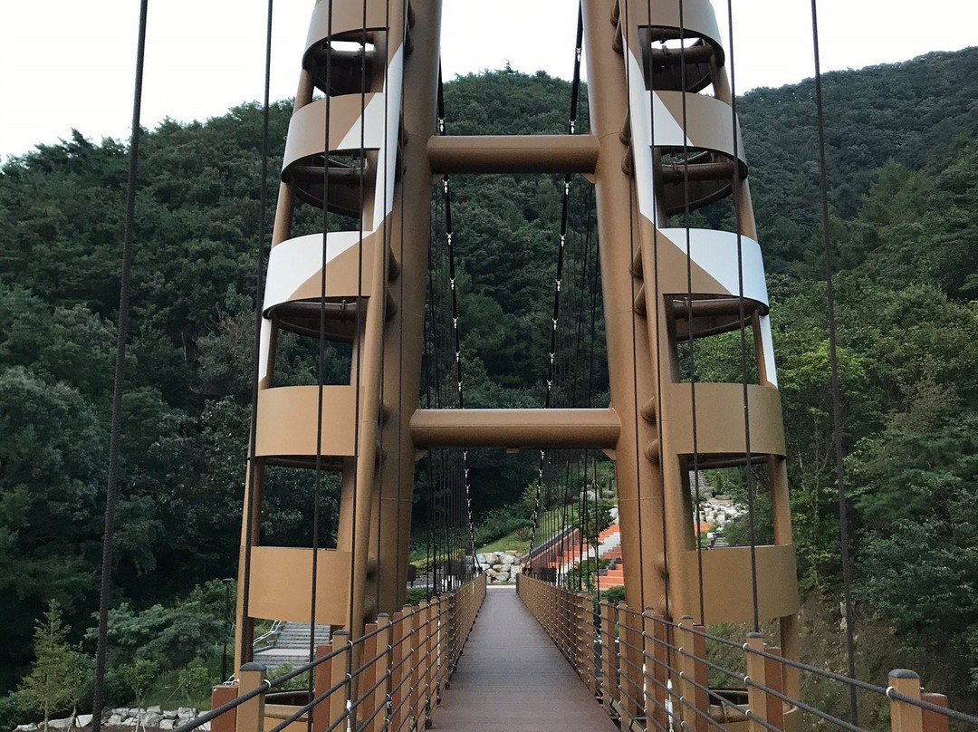 曾坪郡旅游景点-Jwagusan Recreational Forest