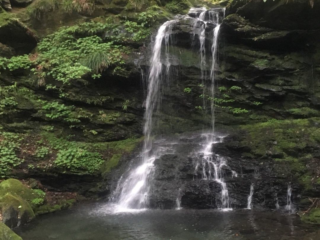 Seijo Falls景点图片