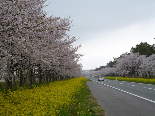 大泻村旅游攻略图片