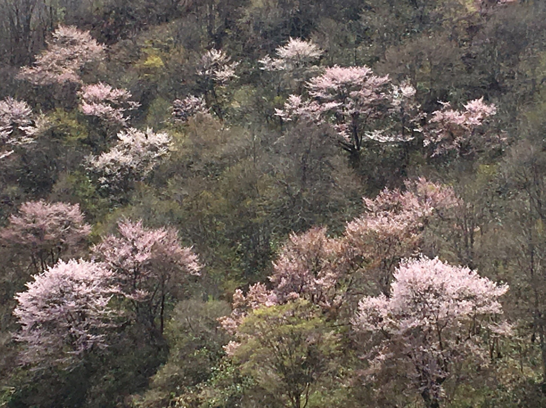 下乡町旅游攻略图片