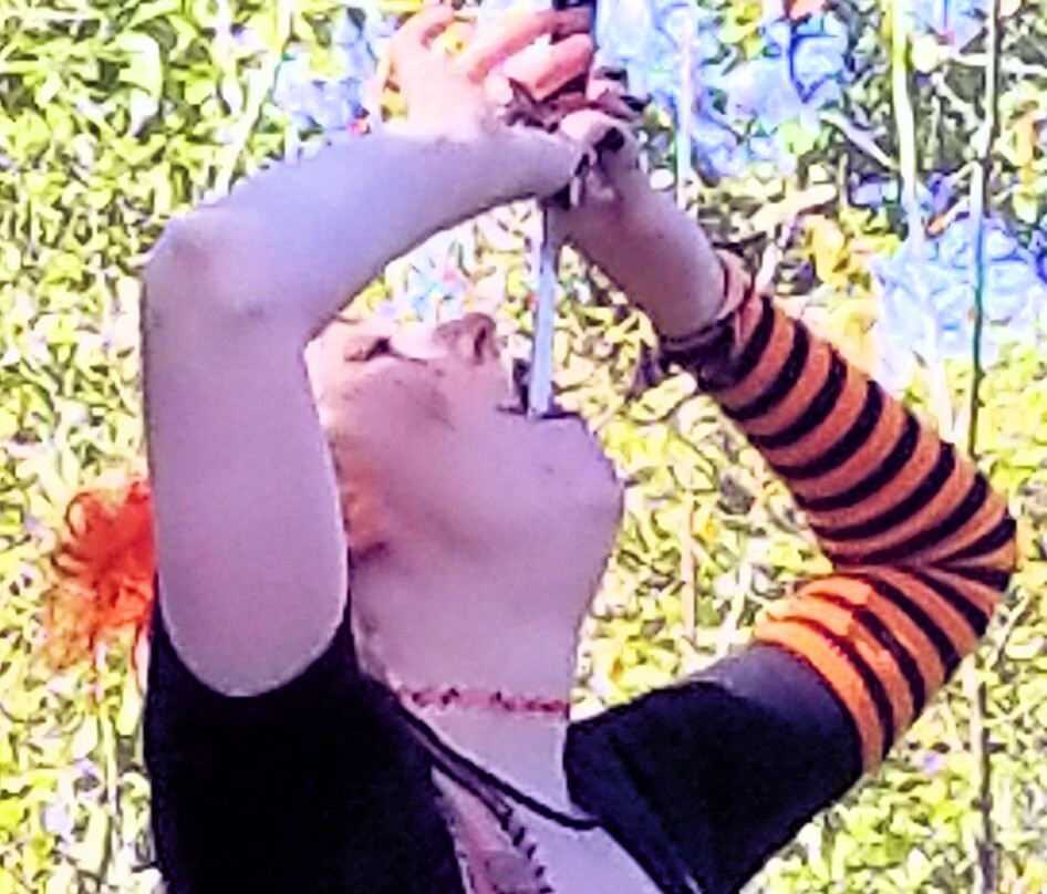 Michigan Renaissance Festival-Holly必去景点