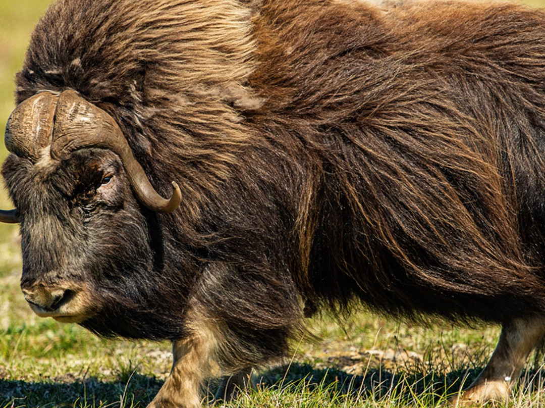Teller旅游攻略图片