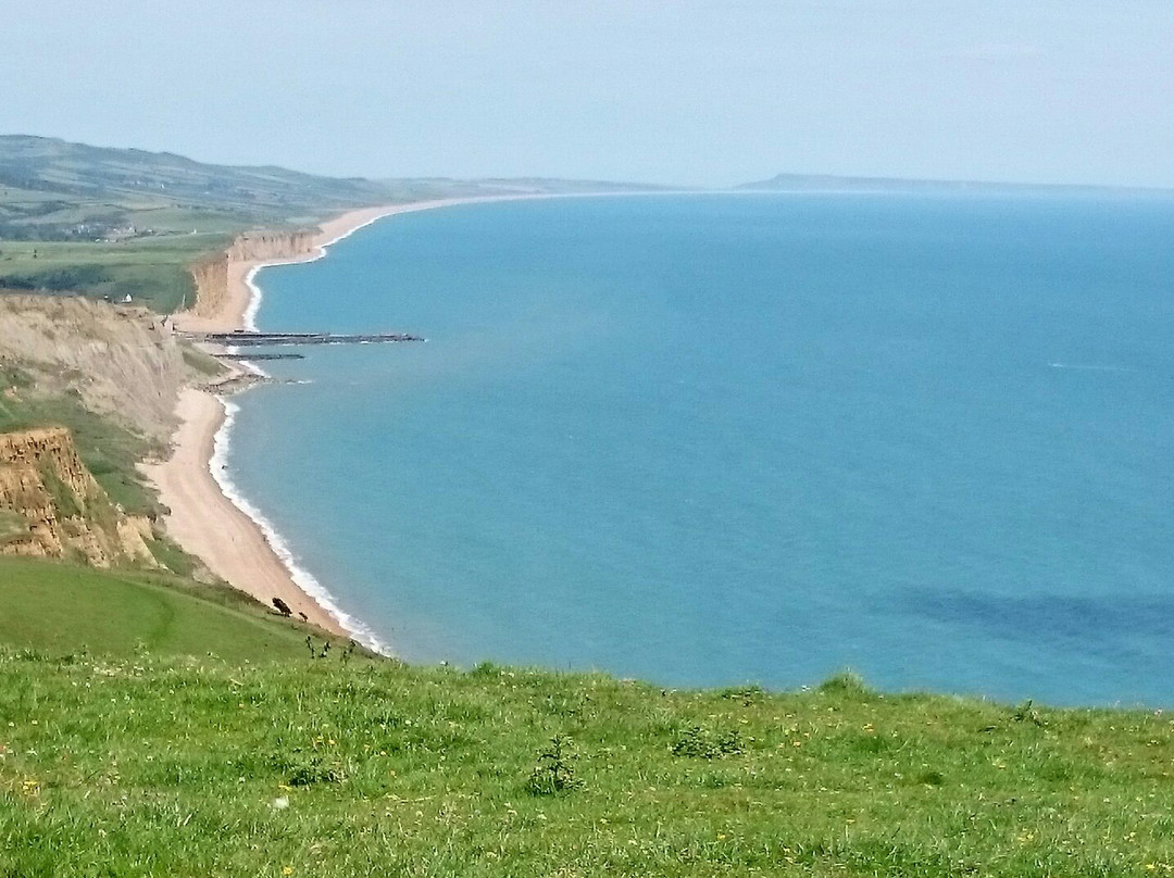 null-West Bay