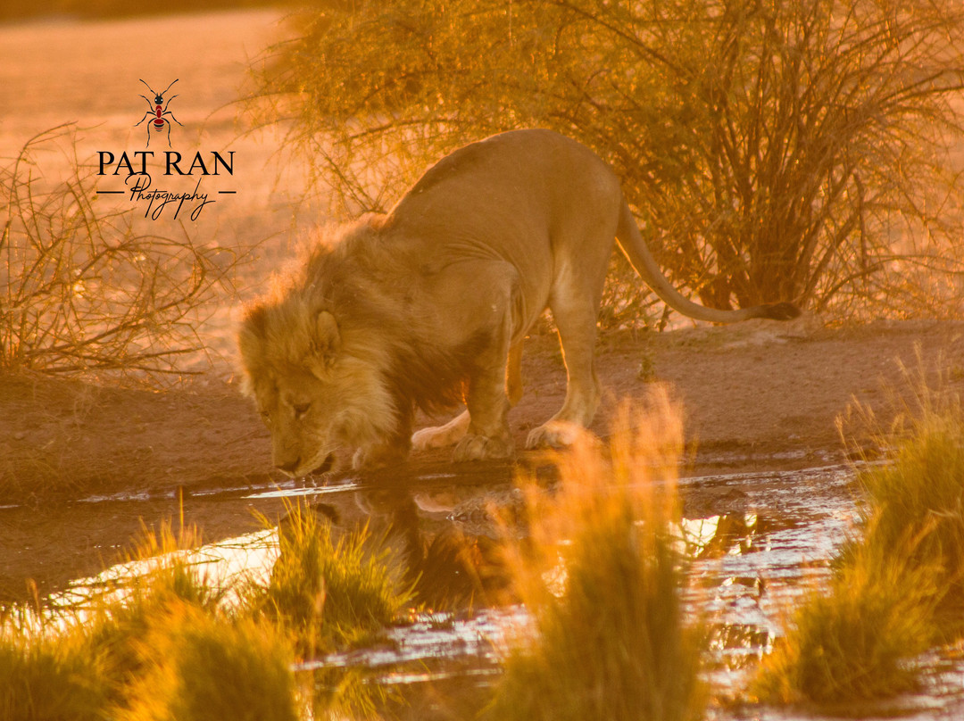 Central Kalahari Game Reserve旅游攻略图片