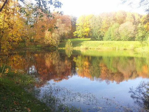 Dvoryaninovo旅游攻略图片