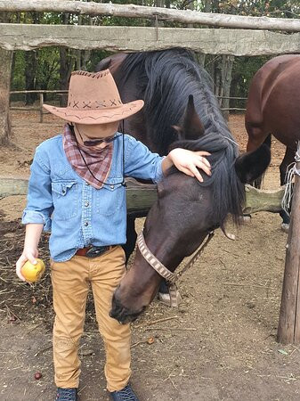 Stetson Equestrian Club-敖德萨必去景点