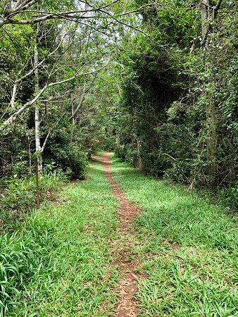 Berganns Lane Walk景点图片