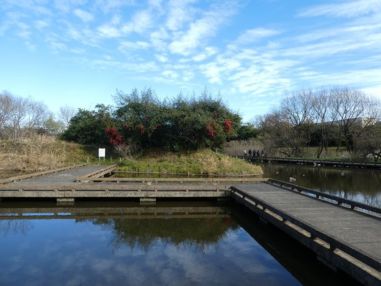 Kiyose Kanayama Ryokuchi Park景点图片