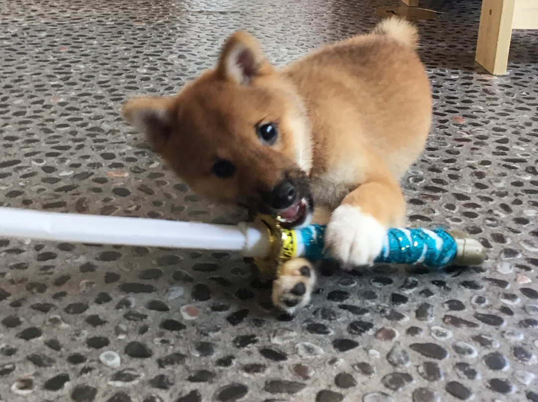 Cafe Ryoma-京都市必去景点