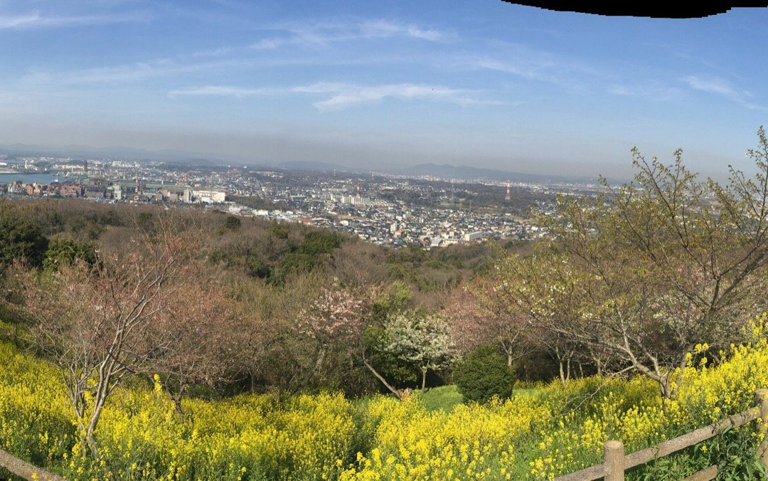山阳小野田市旅游景点-Ryuozan Park