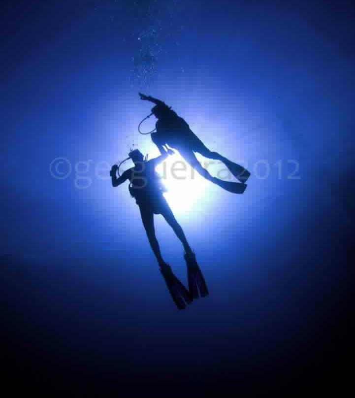 Deep Blue Dive Seafari景点图片