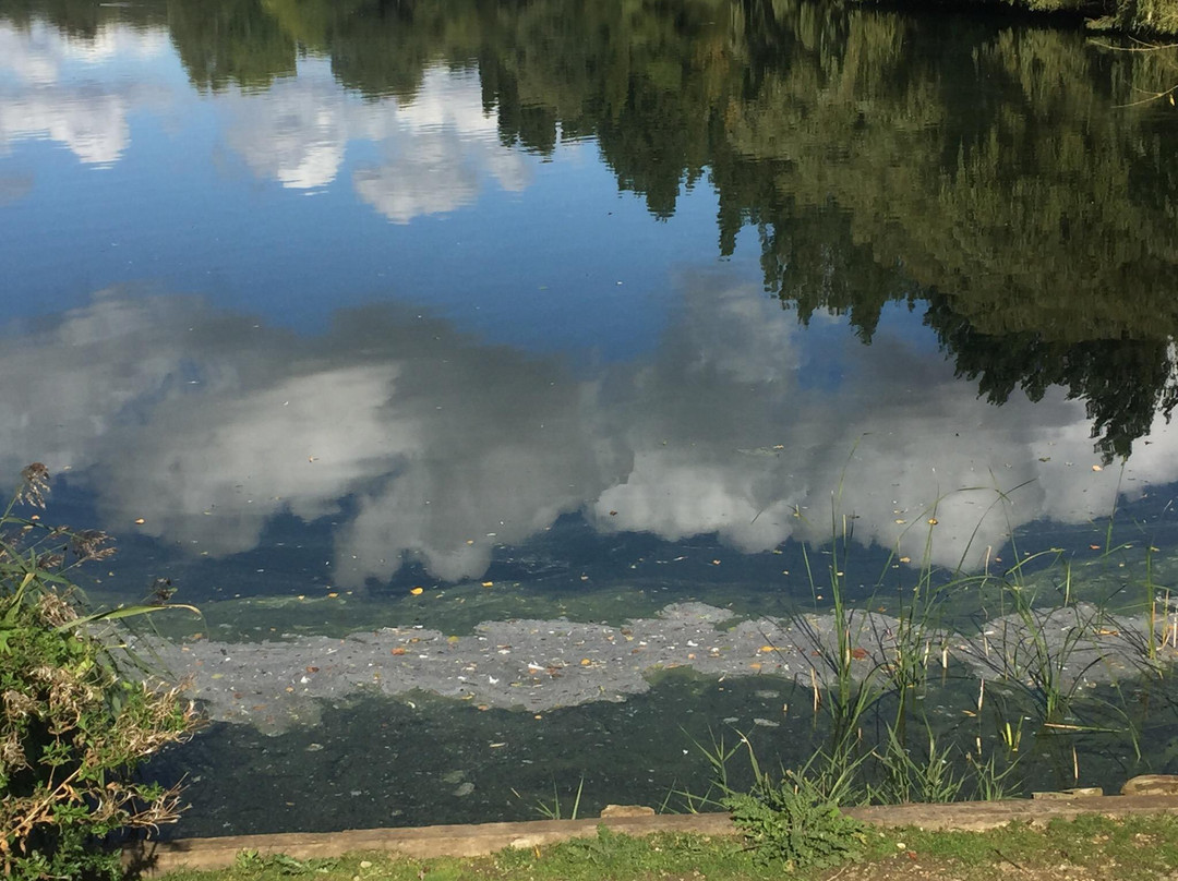 Larkfield旅游攻略图片