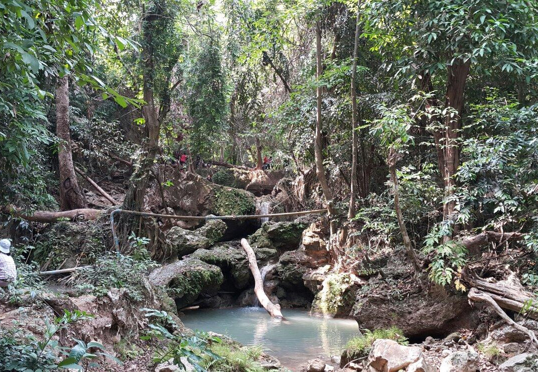 Sap Chomphu Arboretum景点图片