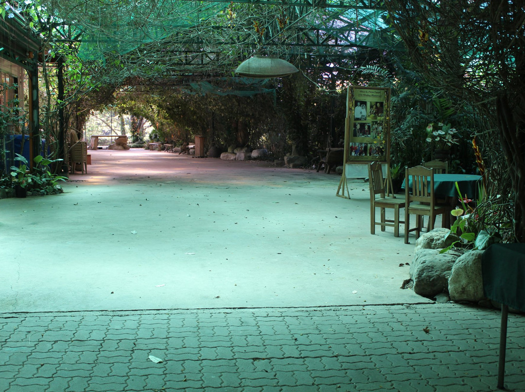 Winaca Eco Cultural Village-Tublay必去景点