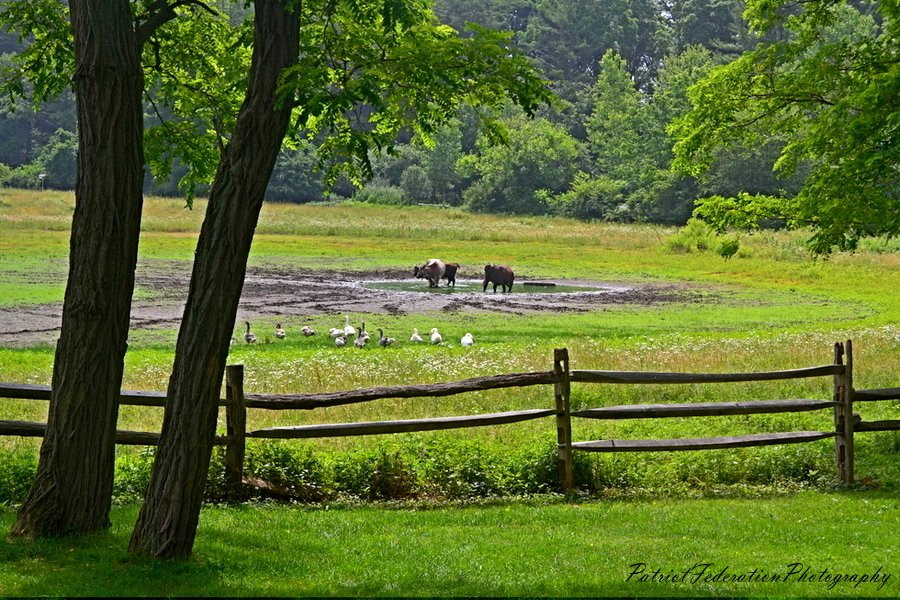 Old Bethpage Village Restoration景点图片