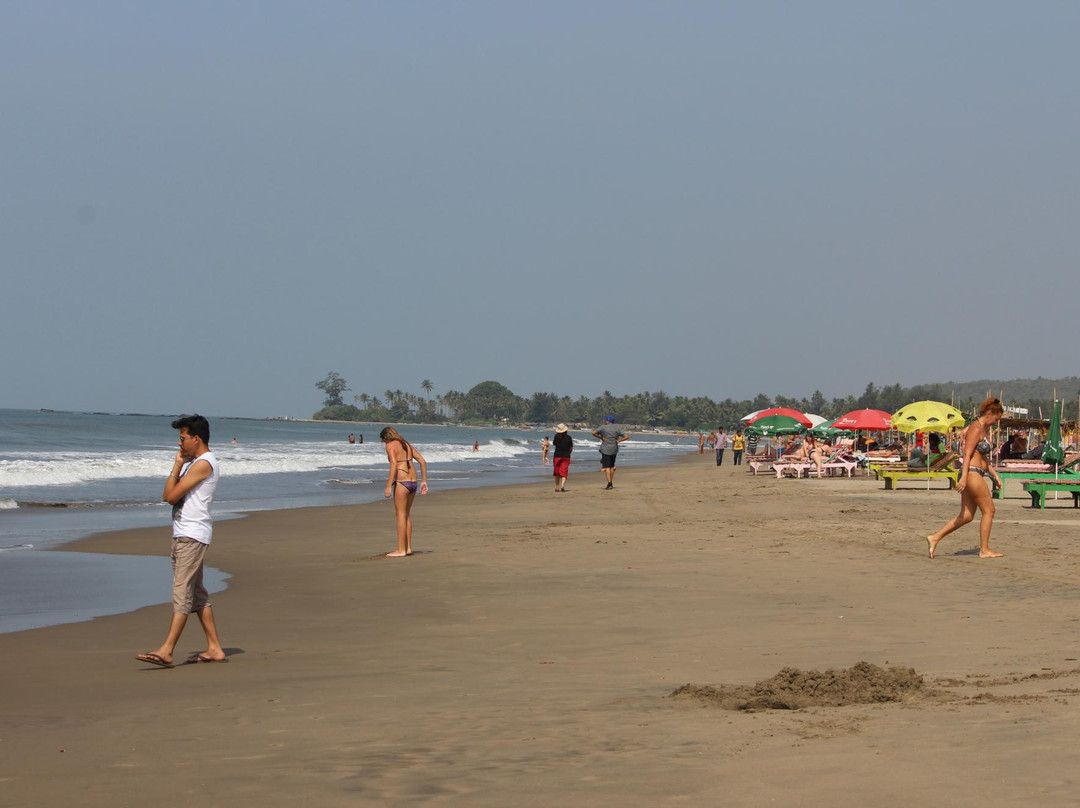 Morjim Beach景点图片