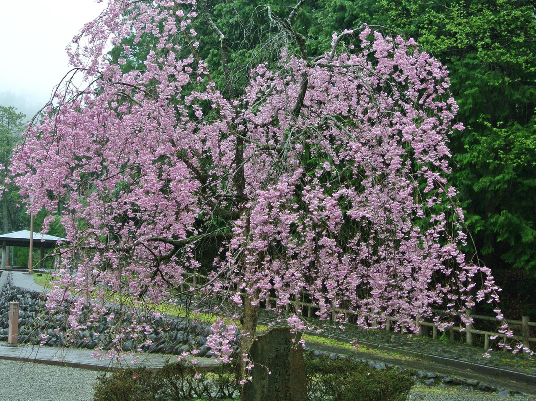 龟冈市旅游景点-Yawaragi no michi