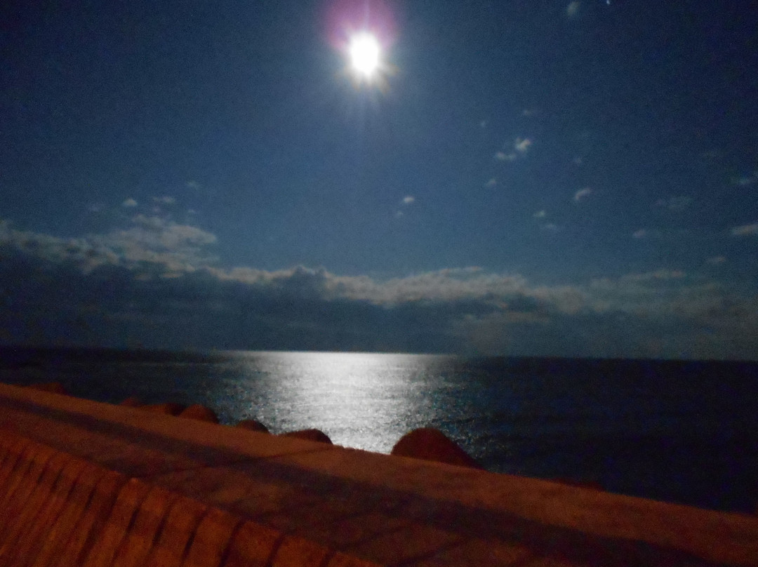 Hamanomiya Road Park