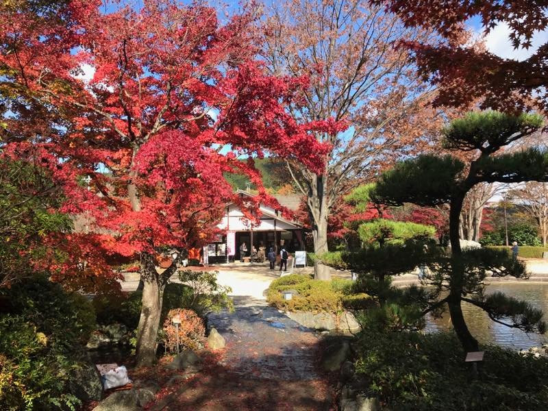 Sakurayama Park景点图片