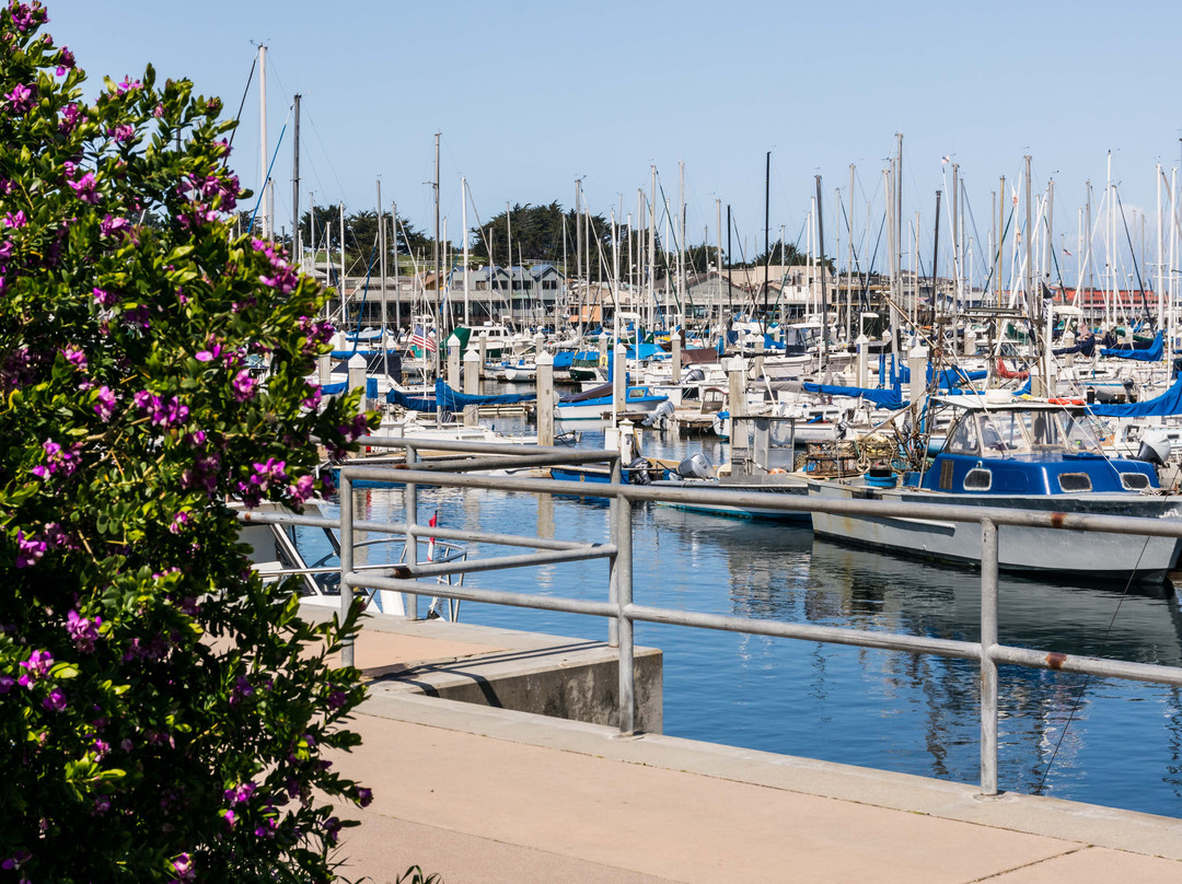 Monterey Municipal Wharf 2景点图片