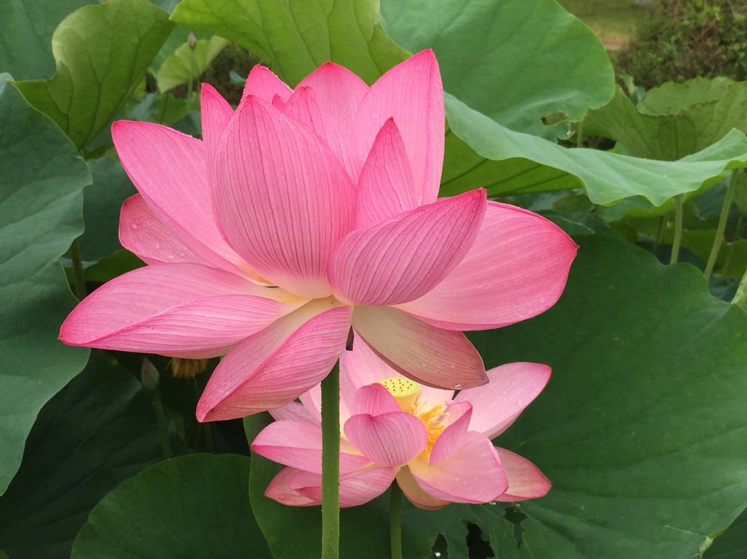 Nakajuku Historical Park