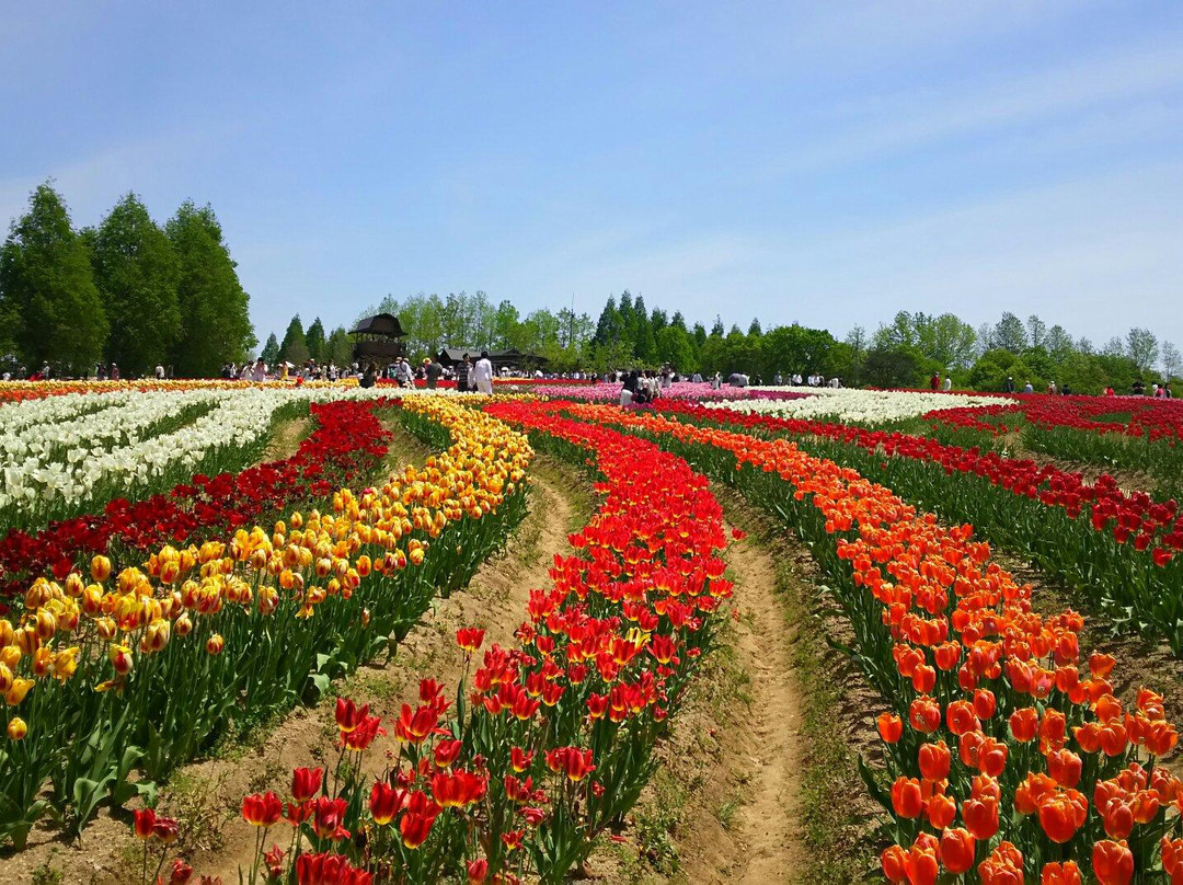 Sera Kogen Farm景点图片
