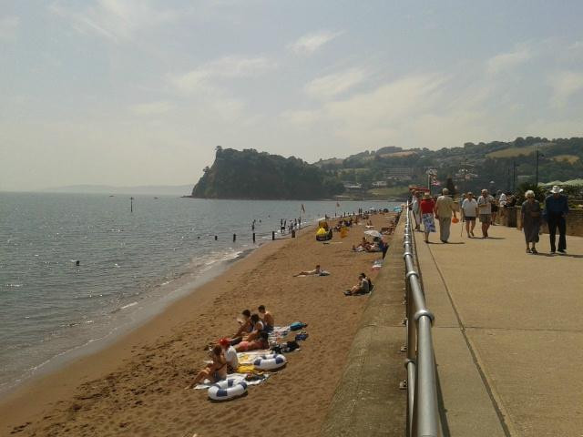 Teign Heritage -Teignmouth & Shaldon Museum景点图片