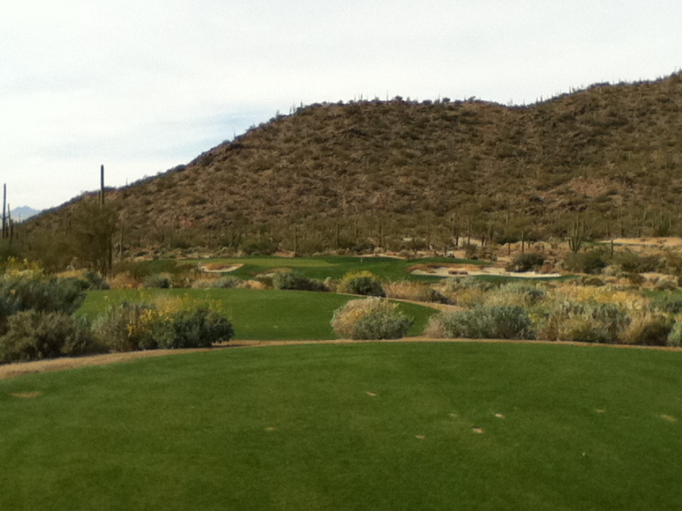 Ritz Carlton Golf Course Dove Mountain-马拉纳必去景点