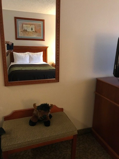 Comfort Inn at Buffalo Bill Village Resort主图