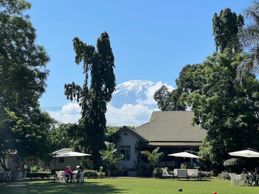 Engare Nairobi餐馆和美食-Courage Café