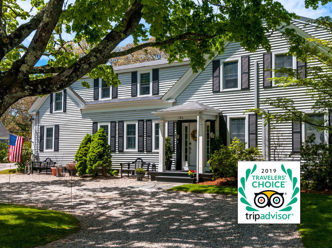 The Platinum Pebble Boutique Inn主图