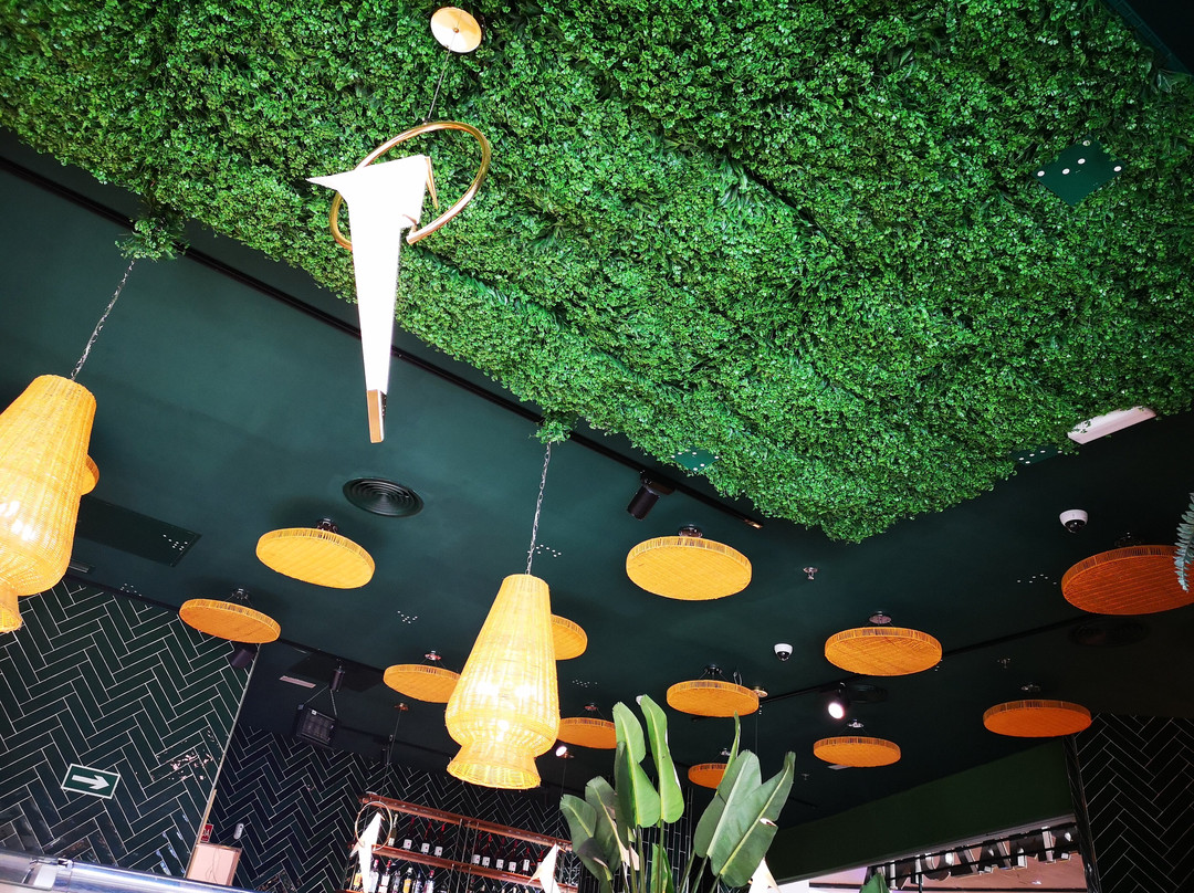 Amazonia Chic