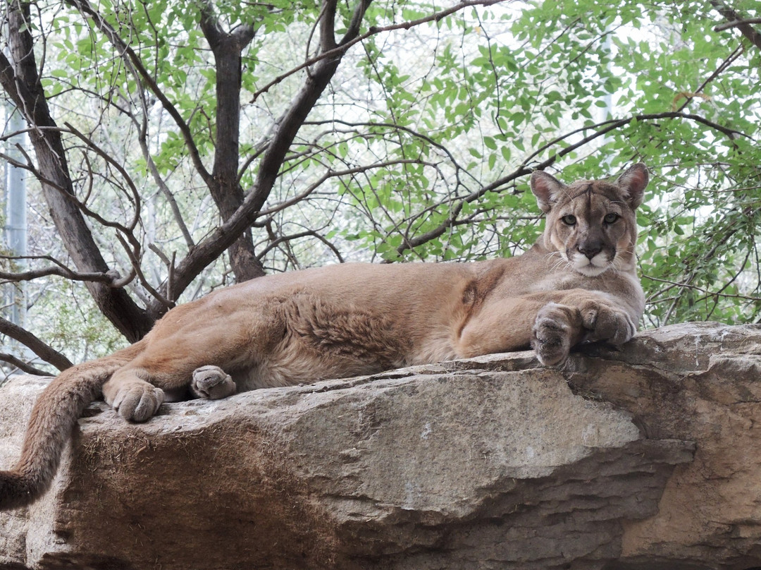 Southwest Wildlife Conservation Center景点图片