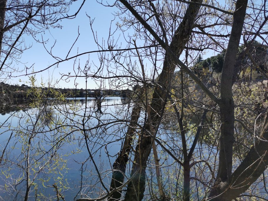 Embalse Del Molino De La Hoz-拉斯罗萨斯必去景点