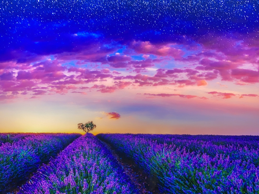 Inspiration Gallery-圣何塞卡波必去景点