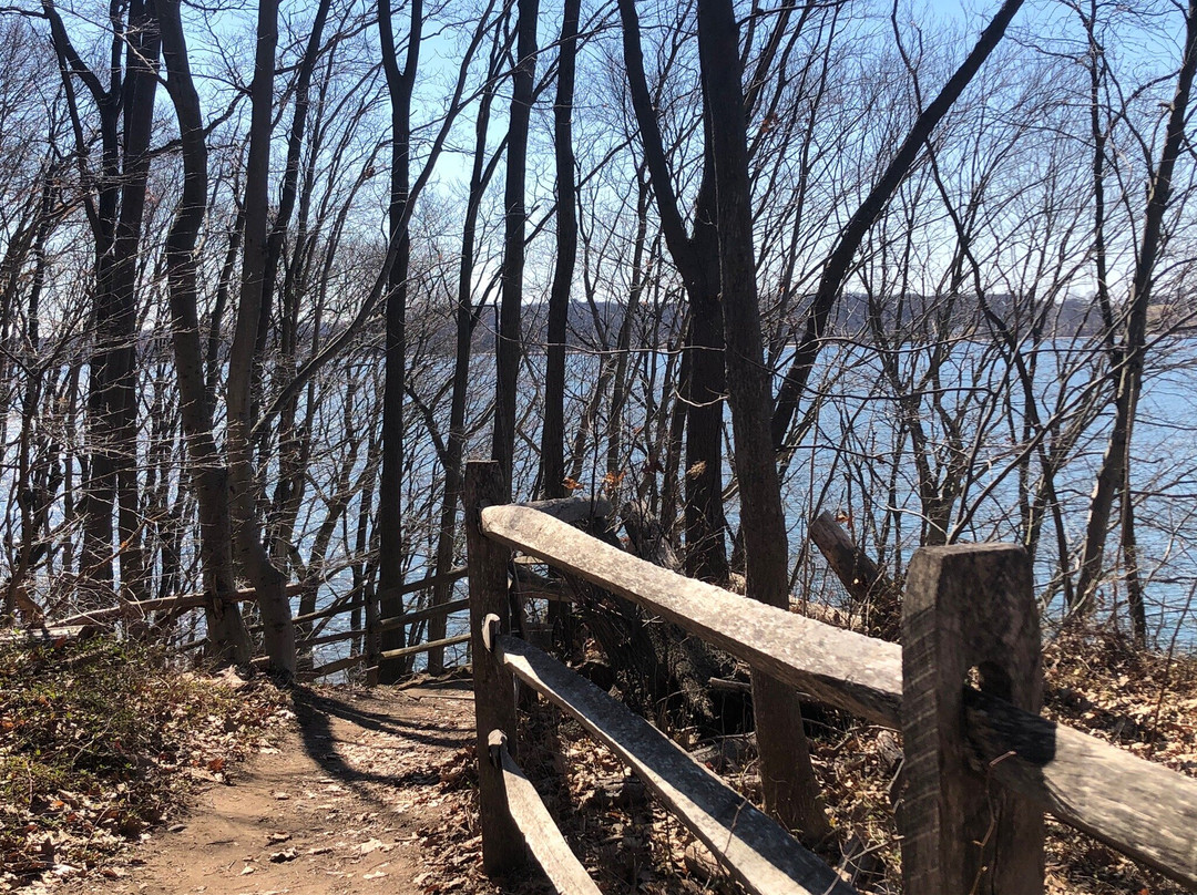 Garvies Point Museum and Preserve景点图片
