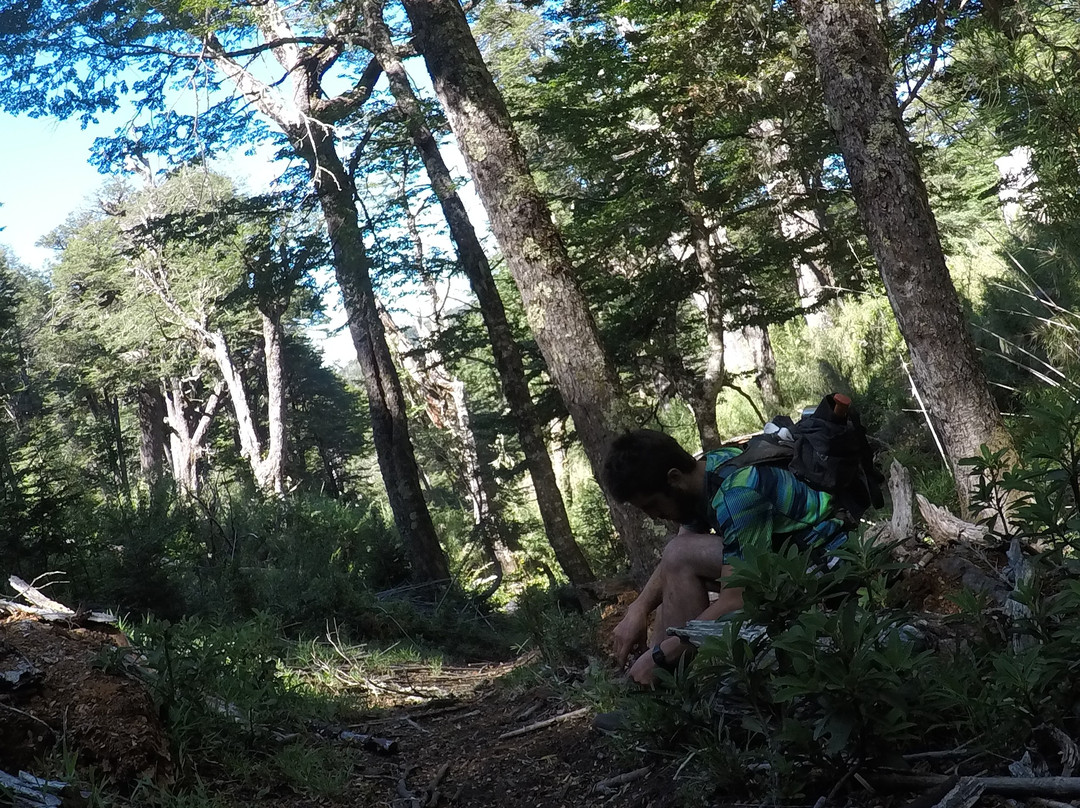 Lago Villarrica-普孔必去景点