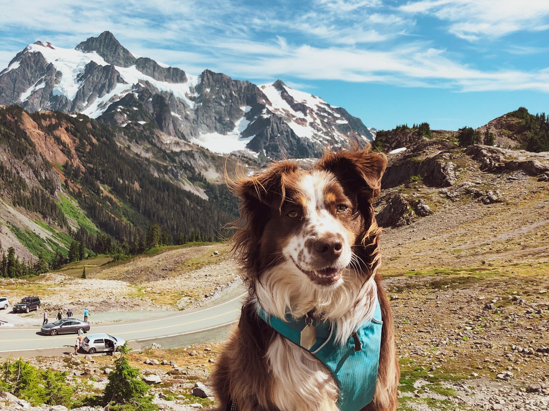 Artist Point-Deming必去景点