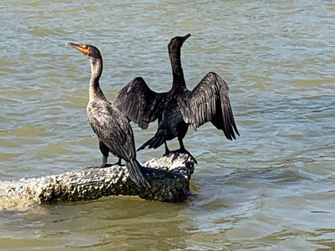 Hotel Villa de Pescadores主图