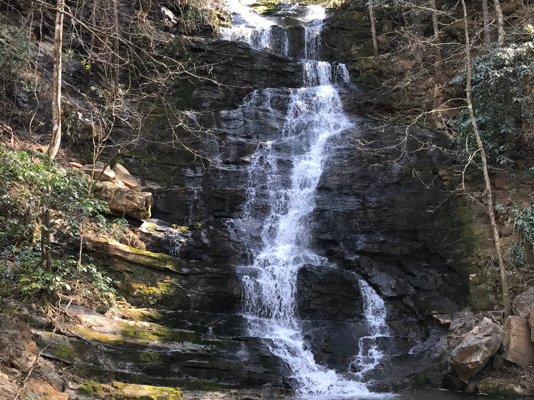 Reedy Branch Falls景点图片