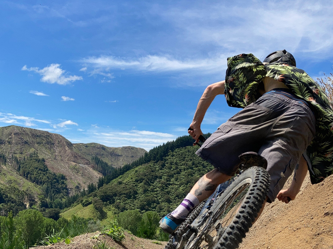 That Place MTB Park and Glamping景点图片