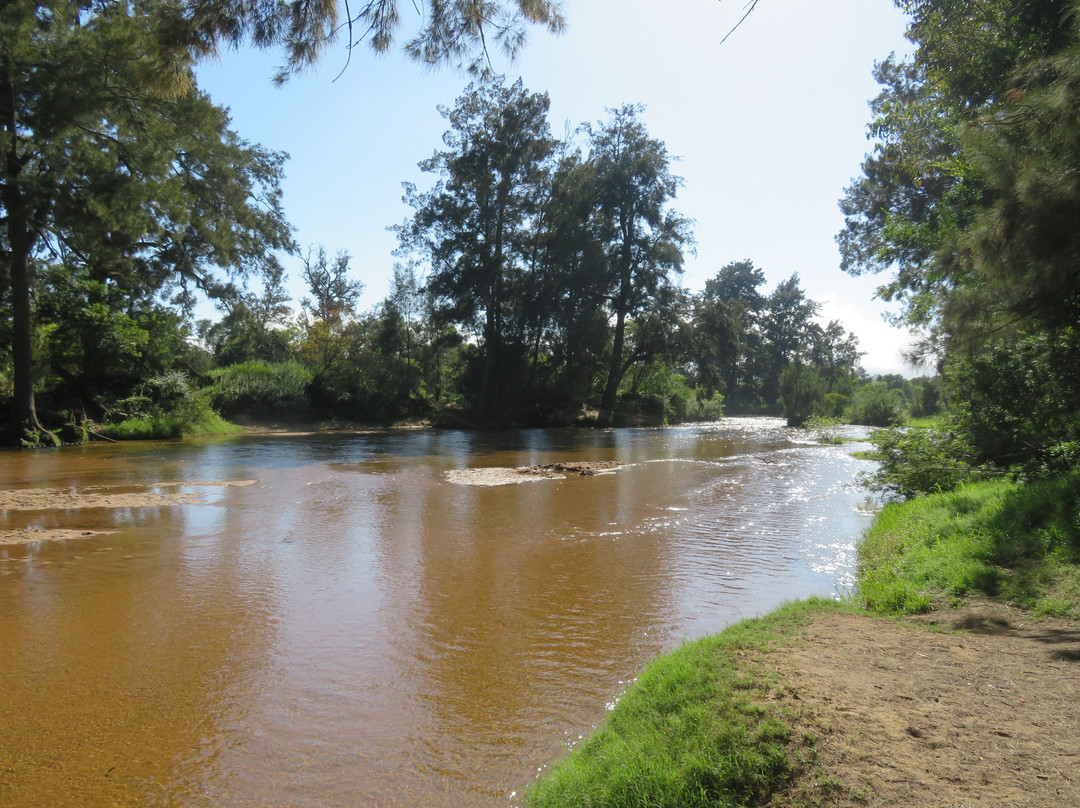 Bega River And Walk景点图片